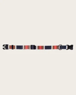 ACADIA NATIONAL PARK ADVENTURE COLLAR