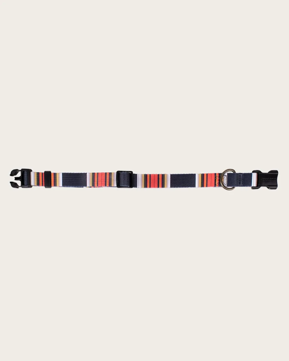 ACADIA NATIONAL PARK ADVENTURE COLLAR