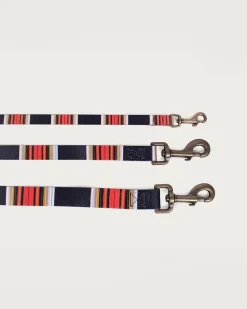 ACADIA NATIONAL PARK ADVENTURE LEASH