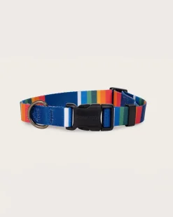 CRATER LAKE NATIONAL PARK ADVENTURE COLLAR