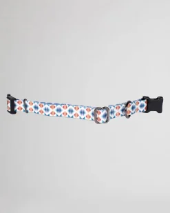 FALCON COVE ADVENTURE COLLAR