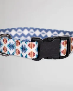 FALCON COVE ADVENTURE COLLAR