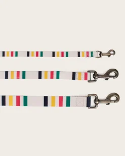 GLACIER NATIONAL PARK ADVENTURE LEASH