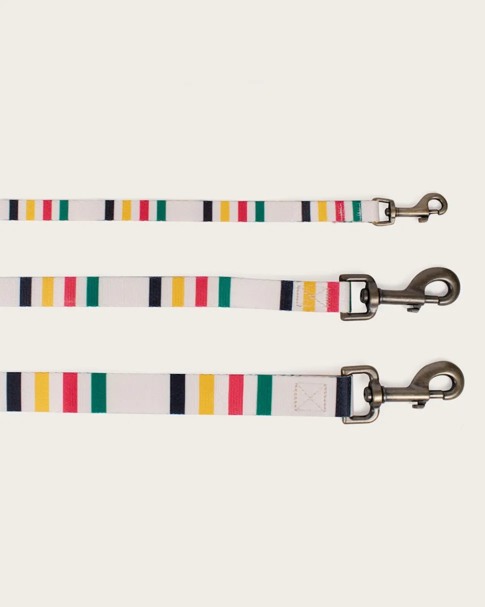 GLACIER NATIONAL PARK ADVENTURE LEASH
