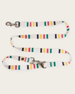 GLACIER NATIONAL PARK ADVENTURE LEASH