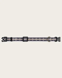 HARDING ADVENTURE COLLAR