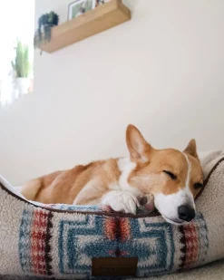 HARDING PET BED - KUDDLER