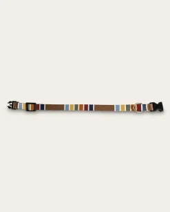 JOSHUA TREE NATIONAL PARK ADVENTURE COLLAR