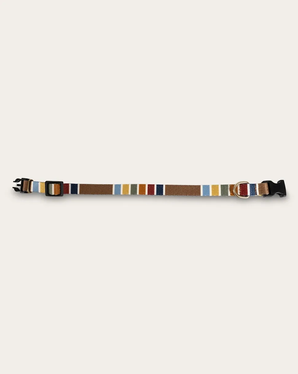 JOSHUA TREE NATIONAL PARK ADVENTURE COLLAR