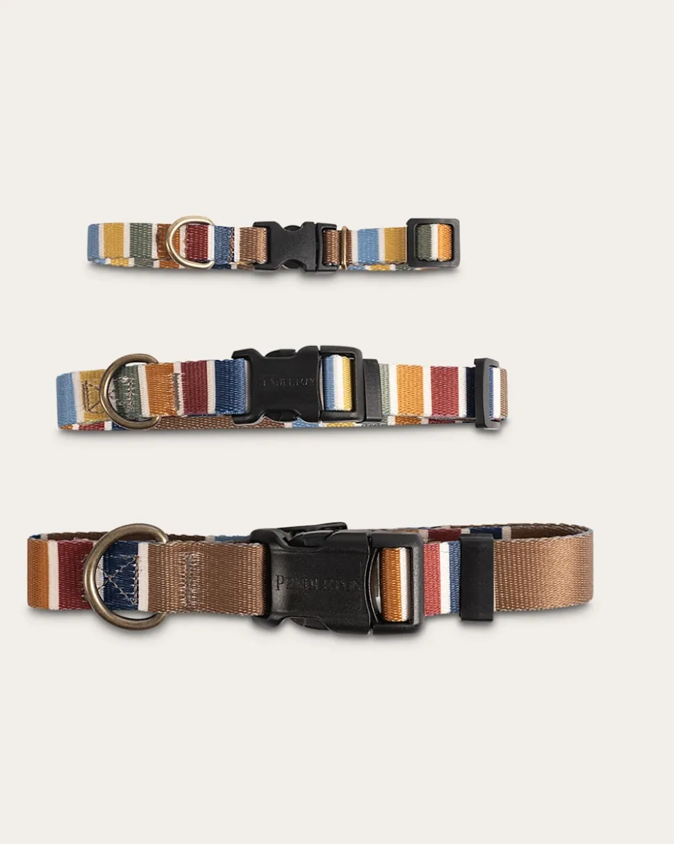 JOSHUA TREE NATIONAL PARK ADVENTURE COLLAR