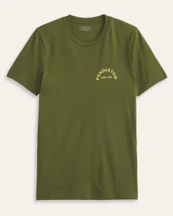 MEN'S SHORT-SLEEVE BEAR GRAPHIC TEE