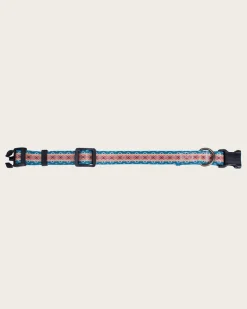 PAGOSA SPRINGS ADVENTURE COLLAR