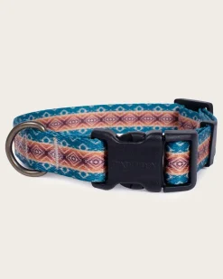 PAGOSA SPRINGS ADVENTURE COLLAR