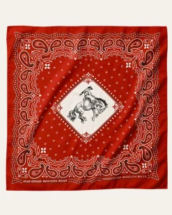 RODEO SPIRIT SILK SCARF