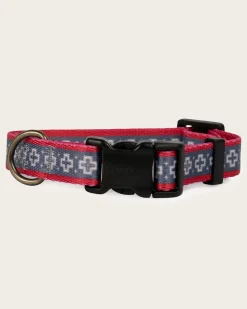 SAN MIGUEL ADVENTURE COLLAR