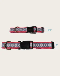 SAN MIGUEL ADVENTURE COLLAR