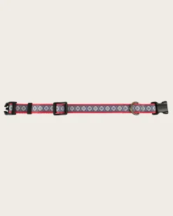 SAN MIGUEL ADVENTURE COLLAR