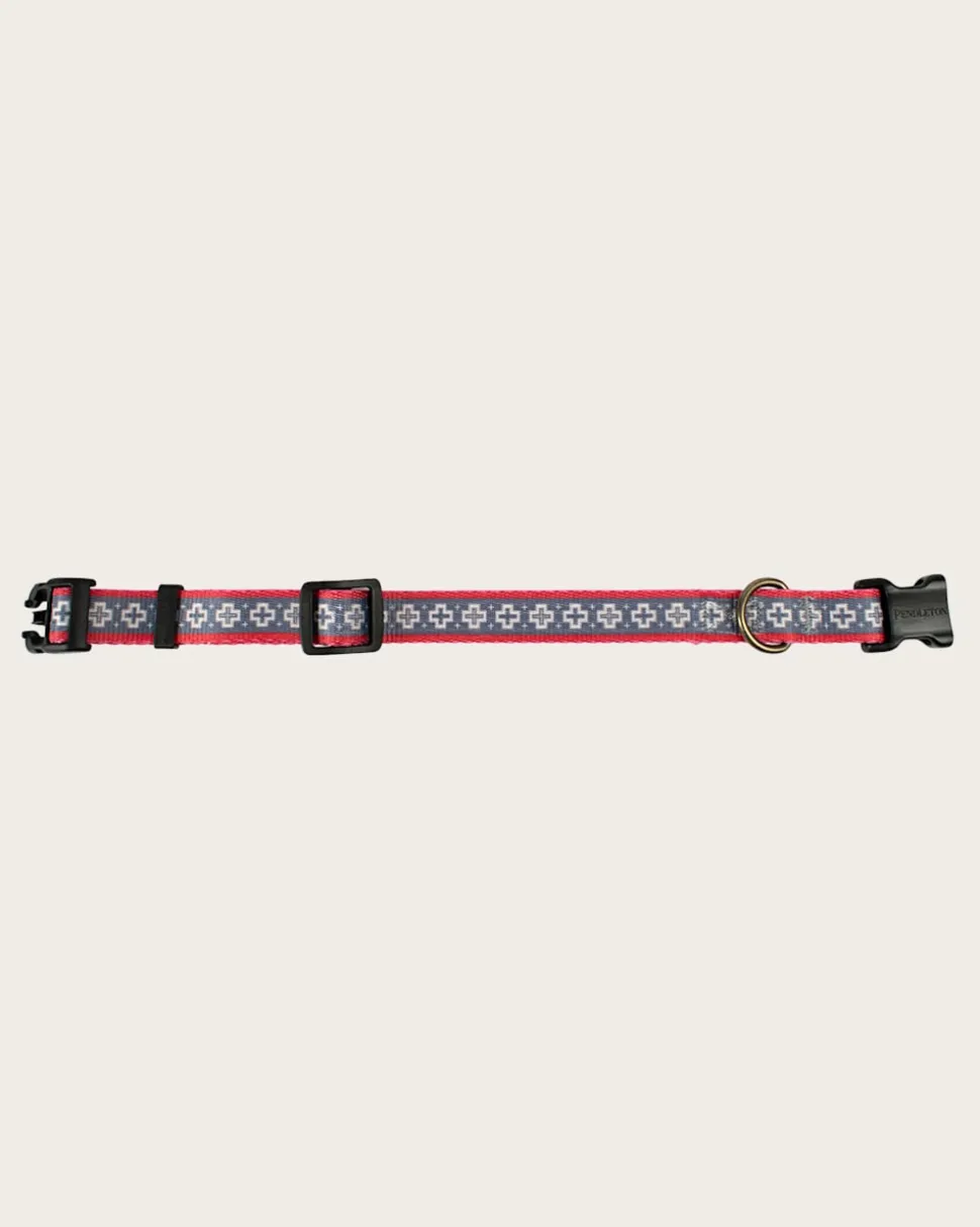SAN MIGUEL ADVENTURE COLLAR