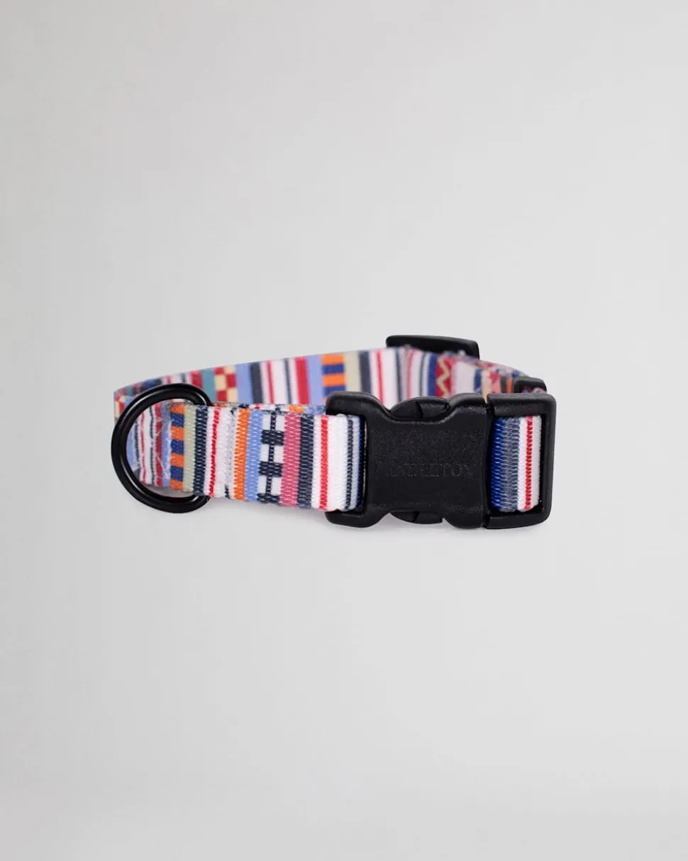 TAMIAMI ADVENTURE COLLAR