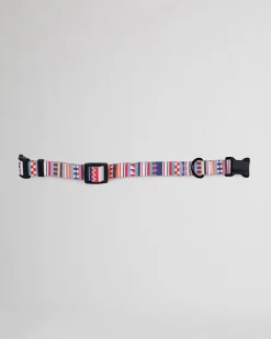 TAMIAMI ADVENTURE COLLAR