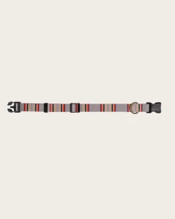 YAKIMA CAMP ADVENTURE COLLAR