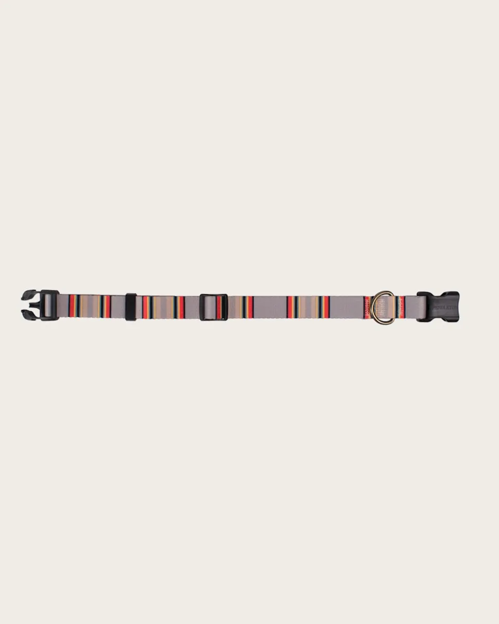YAKIMA CAMP ADVENTURE COLLAR
