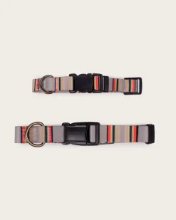 YAKIMA CAMP ADVENTURE COLLAR
