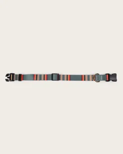 YAKIMA CAMP ADVENTURE COLLAR