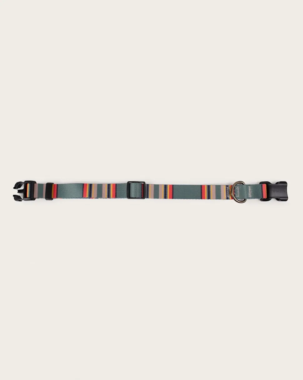 YAKIMA CAMP ADVENTURE COLLAR