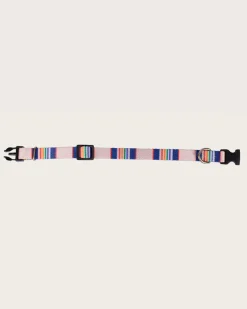 YELLOWSTONE NATIONAL PARK ADVENTURE COLLAR