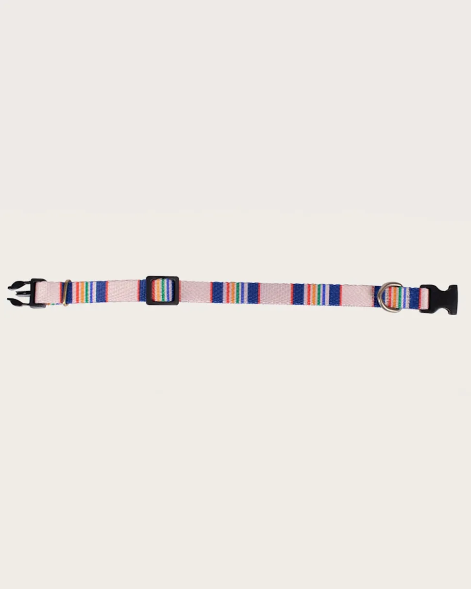 YELLOWSTONE NATIONAL PARK ADVENTURE COLLAR