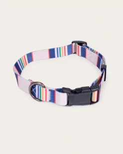 YELLOWSTONE NATIONAL PARK ADVENTURE COLLAR