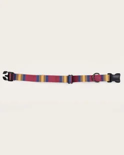 ZION NATIONAL PARK ADVENTURE COLLAR