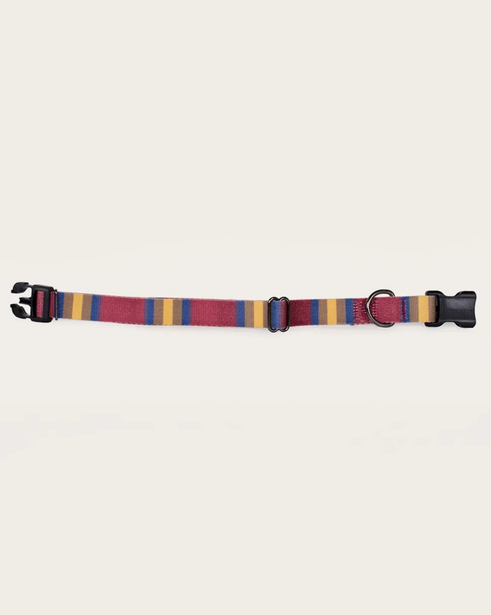 ZION NATIONAL PARK ADVENTURE COLLAR