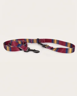 ZION NATIONAL PARK ADVENTURE LEASH