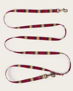ZION NATIONAL PARK ADVENTURE LEASH